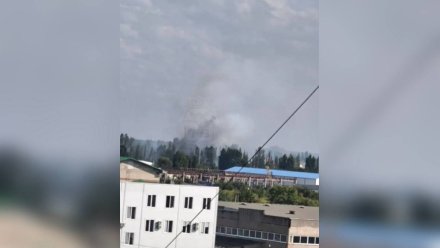 Горожане сообщили о пожаре на Левом берегу Воронежа