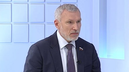 Воронежский депутат Госдумы связал лесные пожары с климатическим оружием