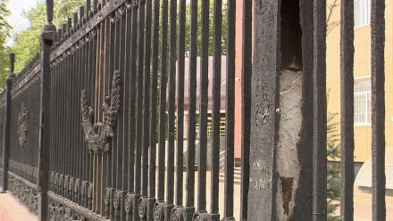Мэрия Воронежа возьмёт на себя охрану уничтожаемой вандалами ограды «Первомайского сада»