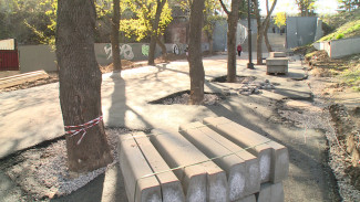 Активисты попросили мэра Воронежа усилить контроль за деревьям во время ремонта дорог