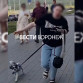 В Воронеже женщина напала на маму с ребёнком после просьбы убирать за питомцем