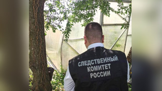 Под Воронежем внук оглушил трубой дедушку и зарезал