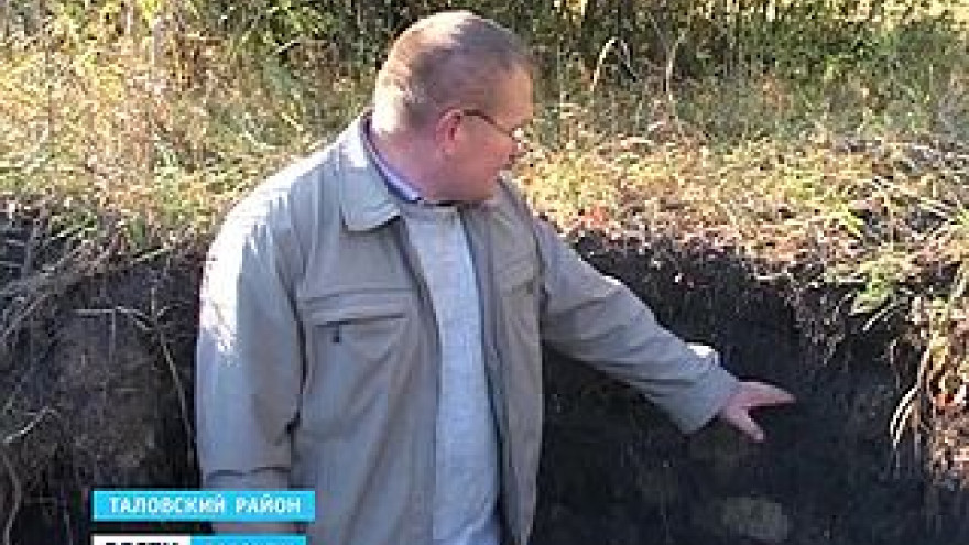 Эталонный чернозём остался только в Каменной степи. Какая она - воронежская целина?