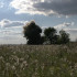 Воронежцам показали на видео уничтожение 101 боеприпаса времён Великой Отечественной войны
