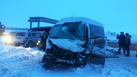 На трассе под Воронежем в столкновении рейсового автобуса и микроавтобуса погиб мужчина