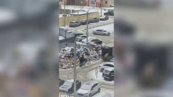 Воронежцы забили тревогу из-за гор мусора во дворе дома №93/5 на улице Фёдора Тютчева