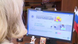 В Воронеже запустили «ВетБот» для владельцев животных