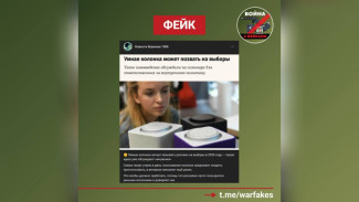 Воронежцев предупредили о фейке про зазывающие на выборы умные колонки