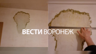 «Боюсь свариться в кипятке». В Воронеже женщина пожаловалась на коммунальное ЧП в квартире