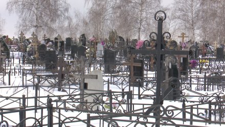 В Воронеже вернулись к идее создания нового городского кладбища