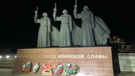 Воронежцам показали результаты уборки на Чижовском плацдарме