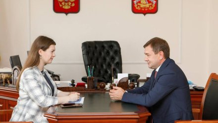 Владимир Нетёсов обсудил развитие добровольчества с депутатом Госдумы Ольгой Занко