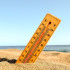 Экстремальная жара до +36 градусов накроет Воронежскую область 5 июля