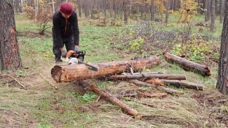 В Воронежской области начали сжигать неликвидную древесину