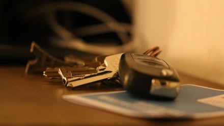 В Воронеже осудили мошенника, похитившего 8 автомобилей от лица агродепартамента