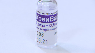 В Воронежскую область поступила партия самой редкой из трёх вакцин от ковида