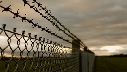 В Воронежской области мать отправили в колонию за долг по алиментам в 63 тысячи