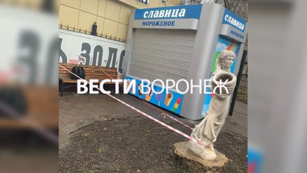 Улицу Владимира Невского в Воронеже оцепили из-за подозрительного рюкзака