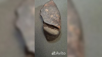 В Воронеже выставили на продажу чилийский метеорит Chug Chug 