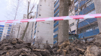 Мэрия Воронежа опубликовала список дворов, которые отремонтируют в 2023 году