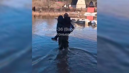 Жители ушедшего под воду СНТ обратились к воронежским спасателям