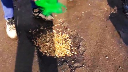 ВИДЕО: Жители посёлка Воля засыпали дорожные ямы монетами и засеяли редисом