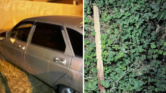 Спрятавший труп в матрасе азербайджанец ответит за зверское убийство в Воронежской области