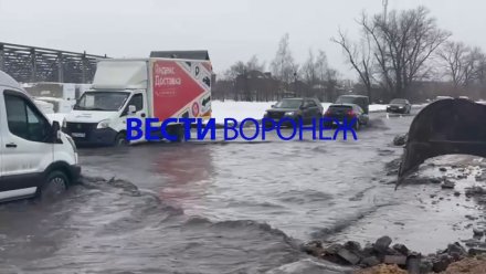 Воронежские синоптики посоветовали коммунальщикам расчистить дороги от снега до морозов