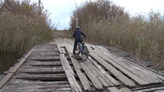 Жители Аннинского района попросили чиновников отремонтировать прогнивший до дыр мост