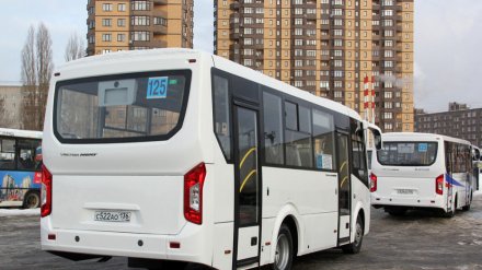 «Издевательство над пассажирами». Нужна ли Воронежу практика раздвоения маршрутов