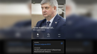 Мошенники создали фейковый аккаунт губернатора Воронежской области