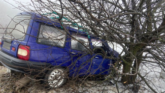 В Воронежской области авто врезалось в дерево: пострадали двое