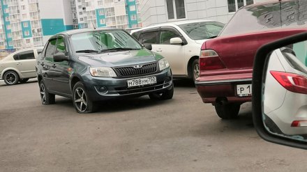 Пострадавшие от «мстителя» воронежские автомобилисты обратились в полицию