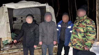 Стали известны подробности кражи кабеля мигрантами со стройки воронежского аэропорта