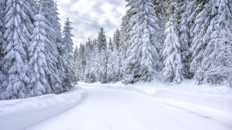 В Воронежской области резко похолодает в начале января