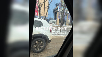 Сотруднице воронежской «Галереи Чижова» стало плохо на рабочем месте