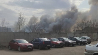 МЧС сообщило о двух ландшафтных пожарах на окраине Воронежа 