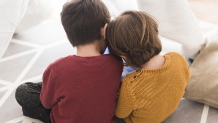 В Воронеже лишённая прав мать обокрала сыновей после гибели мужа на СВО