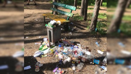 Воронежцы пожаловались на бездействие коммунальщиков по вывозу мусора из парка