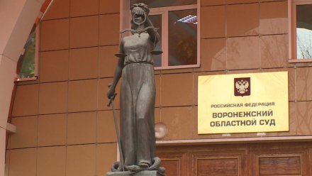 Председателем Воронежского областного суда впервые стала женщина