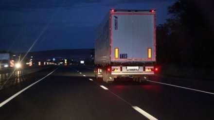 Фура на воронежской трассе придавила стоящих у авто после ДТП людей: один погиб, 5 пострадали