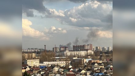 Спасатели назвали причину пожара на Левом берегу Воронежа