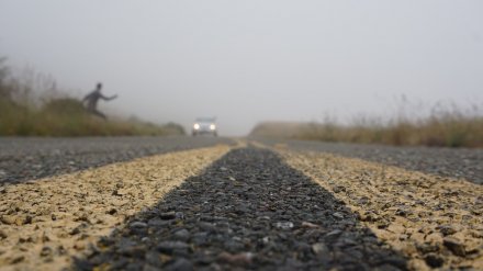 На трассе в Воронежской области ночью погибла неизвестная девушка