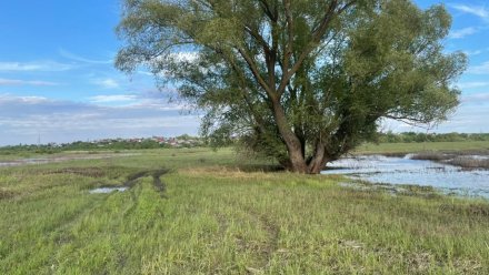 Тело исчезнувшего в апреле мужчины нашли на берегу озера в Воронежской области