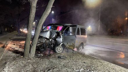 В Воронеже автомобиль влетел в дерево: двое пострадавших