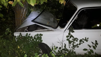 Пенсионер разбился насмерть на воронежской трассе