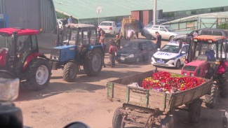 СК начал дополнительную проверку после скандала с «рабством» на воронежской ферме