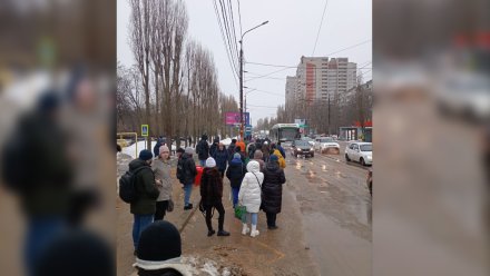Воронежцы пожаловались на сбои в работе автобусов из-за гололедицы