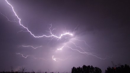 Жёлтый уровень погодной опасности ввели в Воронежской области из-за грозы