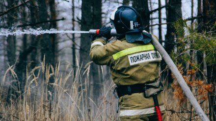 В Воронежской области потушили первые ландшафтные пожары